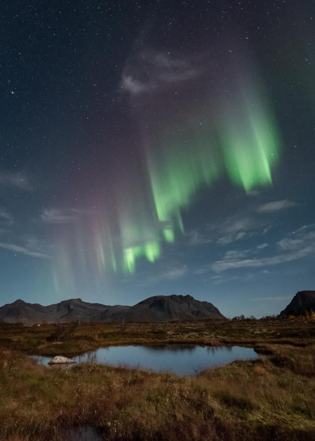 Lyngvaer Luggombu Villa Kleppstad Luaran gambar